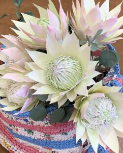 Floral Fantasies Paper