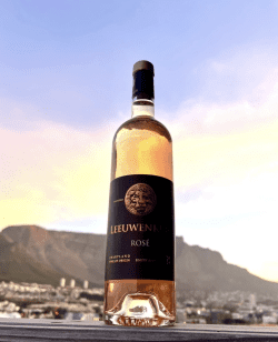 Leeuwenkuil Family Vineyards