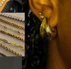 House of Coconut & Co