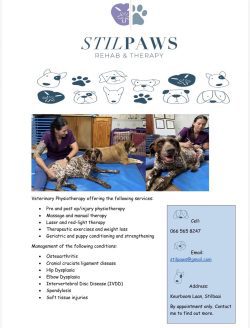 StilPaws Veterinary Physiotherapy