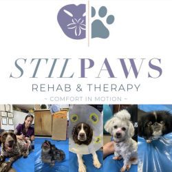 StilPaws Veterinary Physiotherapy