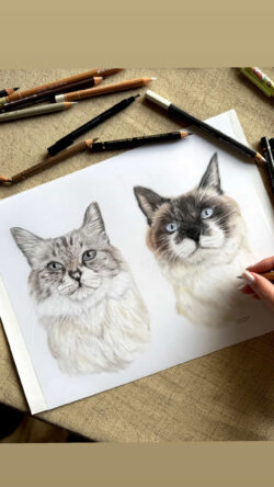 Pets By Mills